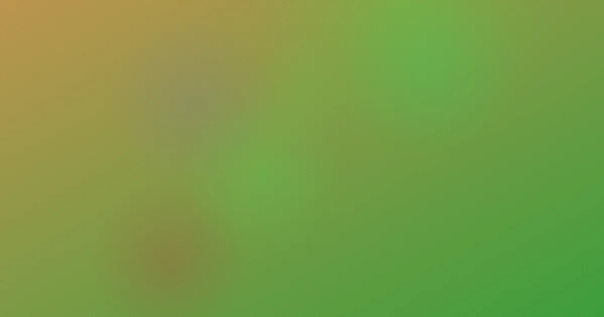 僵尸肖恩对比：一场酒吧求生复盘